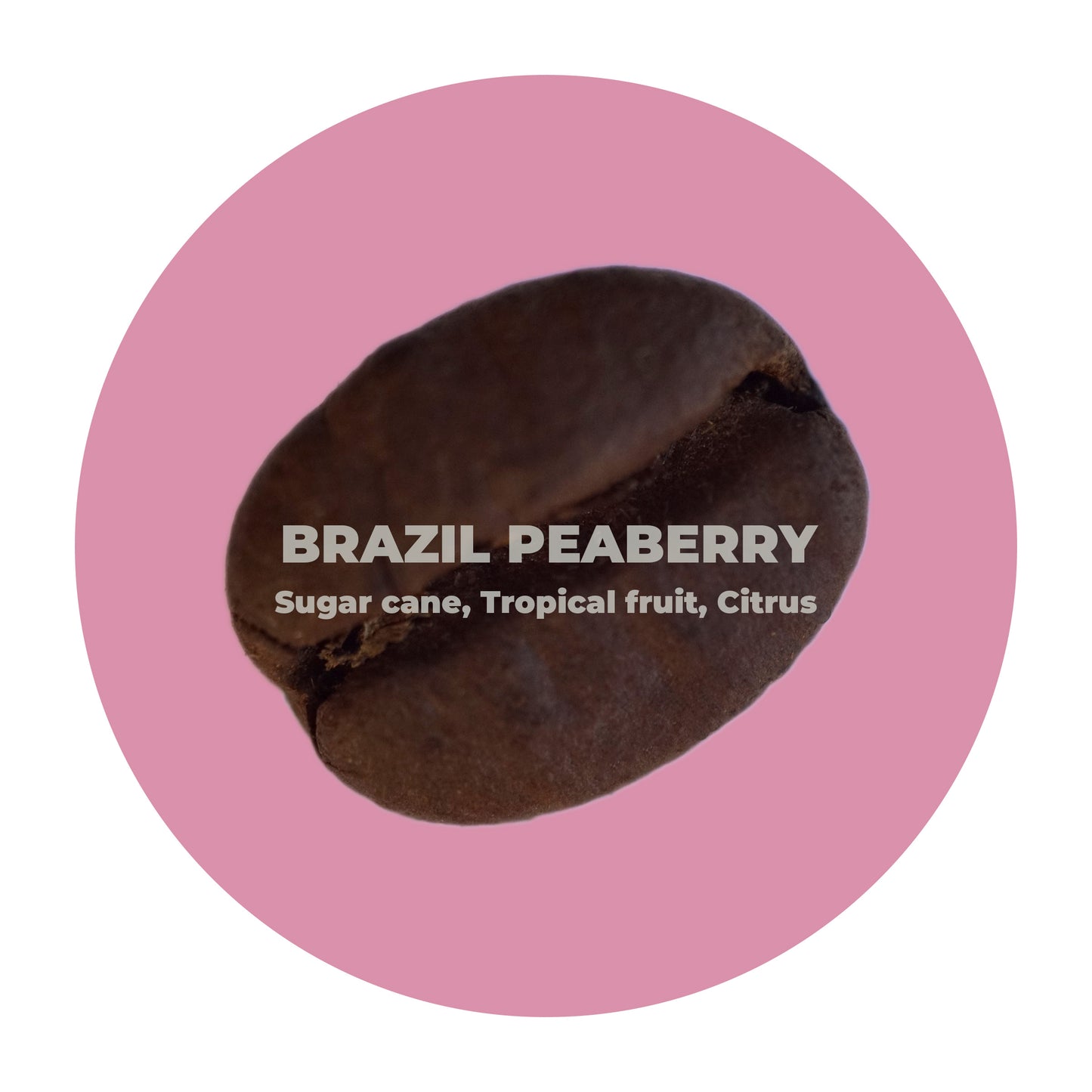 Brazil Peaberry