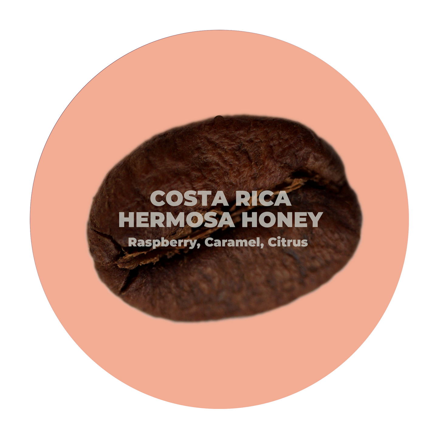 Costa Rica Hermosa Honey