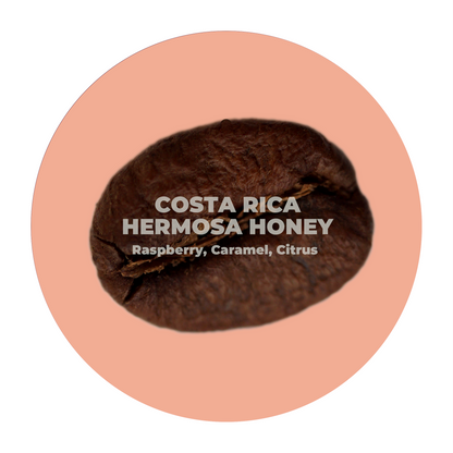 Costa Rica Hermosa Honey