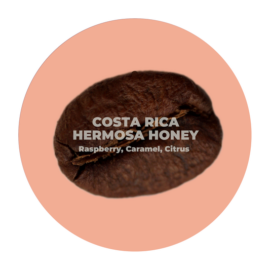 Costa Rica Hermosa Honey