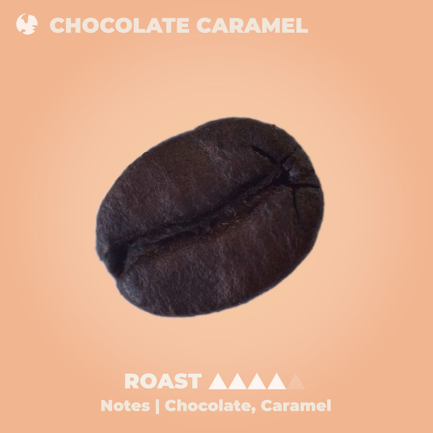 Chocolate Caramel