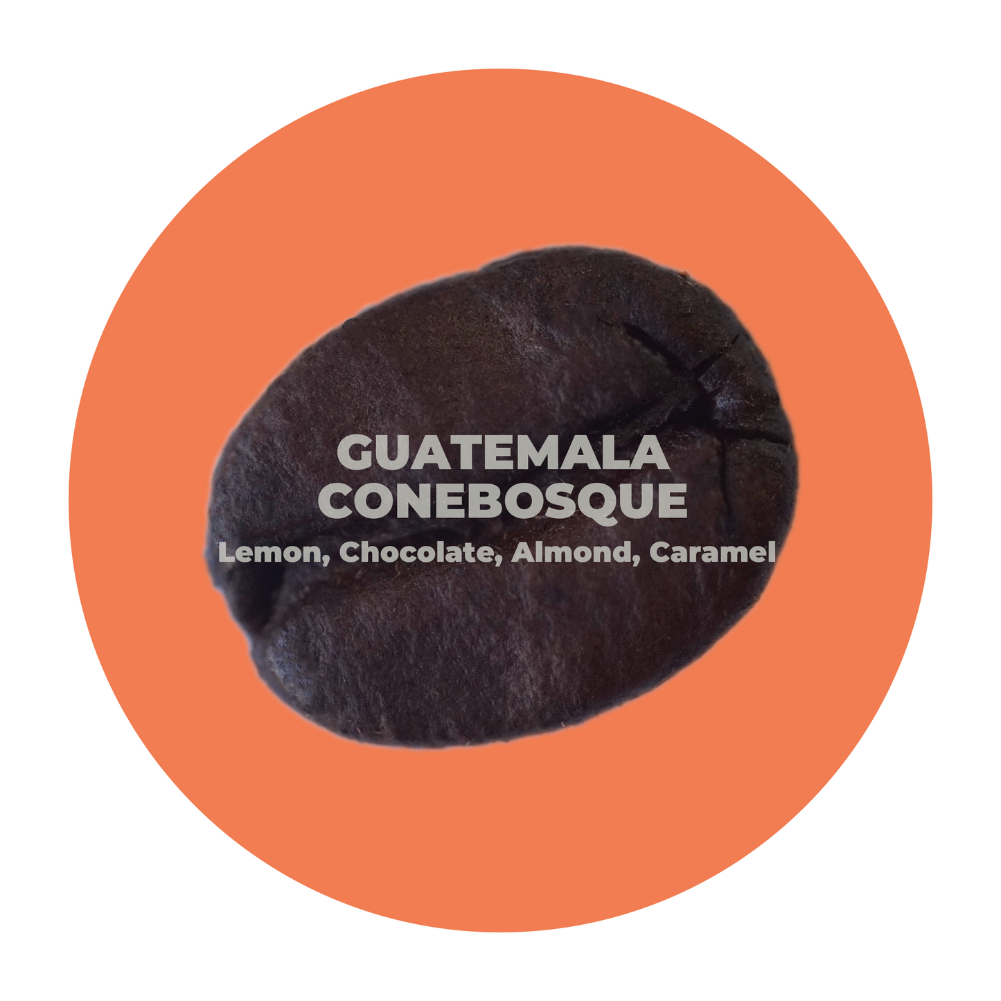 Guatemala Conebosque