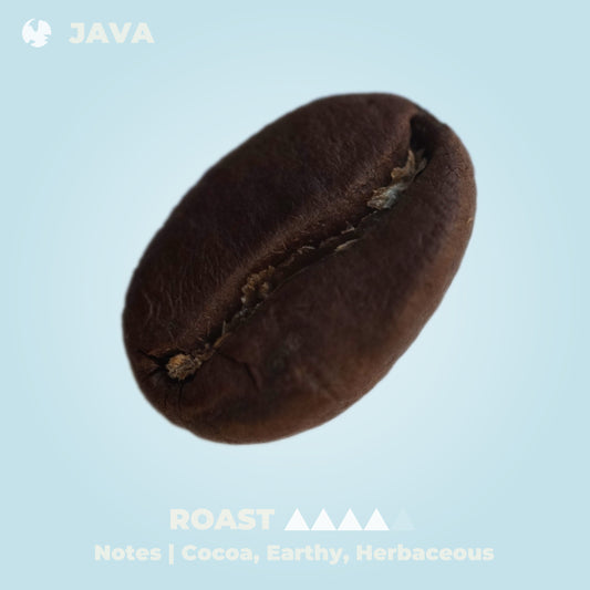 Lava Java