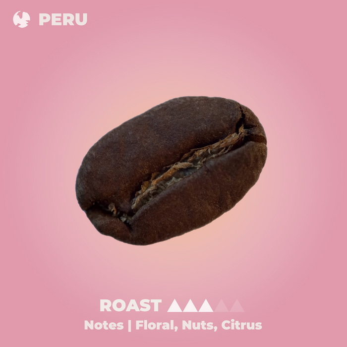 Peruvian Chanchamayo Coffee